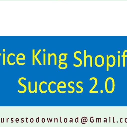Brice King – Shopify Success 2.0