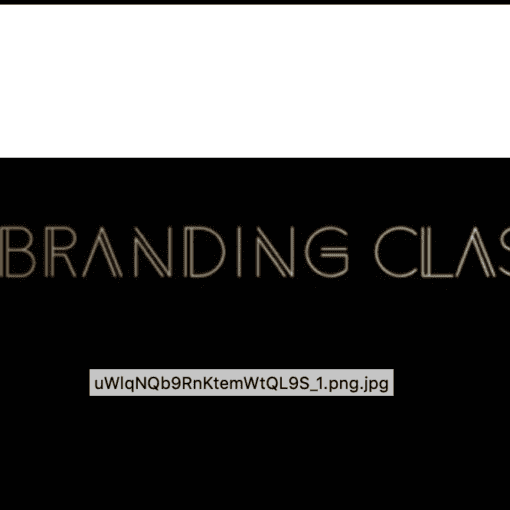 Frank Kern - Intent Based Branding (Updated) Download Course