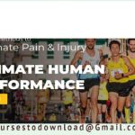 Joe Hippensteel - Ultimate Human Performance 