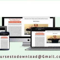 Michael Laurens - 7 Figure Agency Sales System 