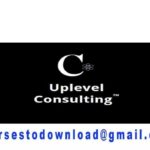 Sam Ovens - Uplevel Consulting 
