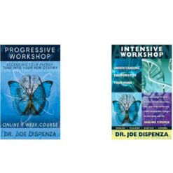 Dr Joe Dispenza – Ascending Your Energy Download