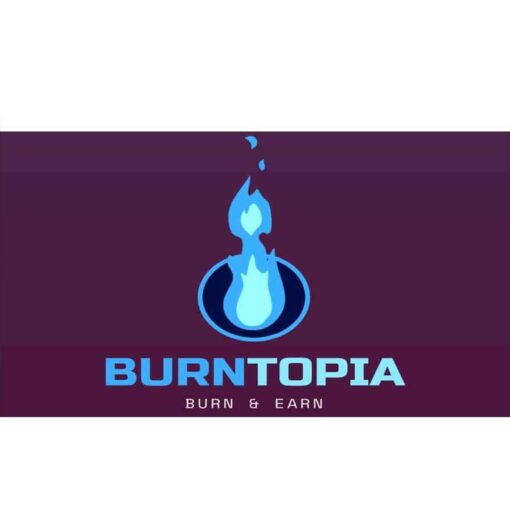 BurnTopia - Burn $1500+ on Google, Microsoft, Pinterest and Snapchat ADS