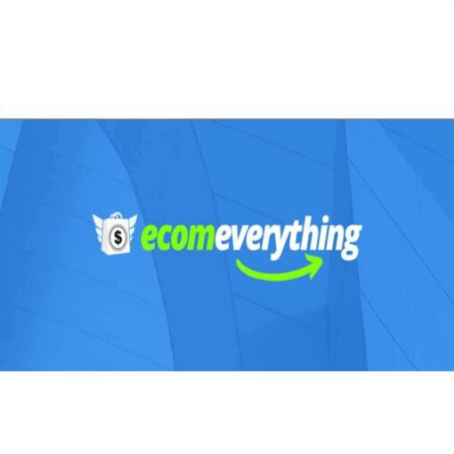 ECOM EVERYTHING - Ultimate Course On How To Make Money Online Download