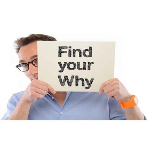 Simon Sinek - Why Discovery Course Download