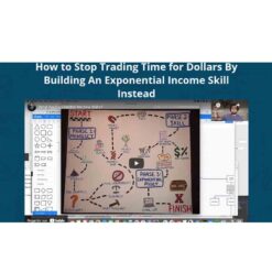 Ian Stanley - Exponential Income Skill Download