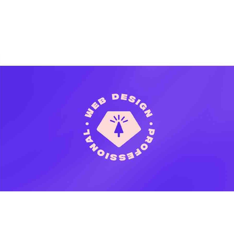 Ran Segall – Web Design-Becoming a Professional Download