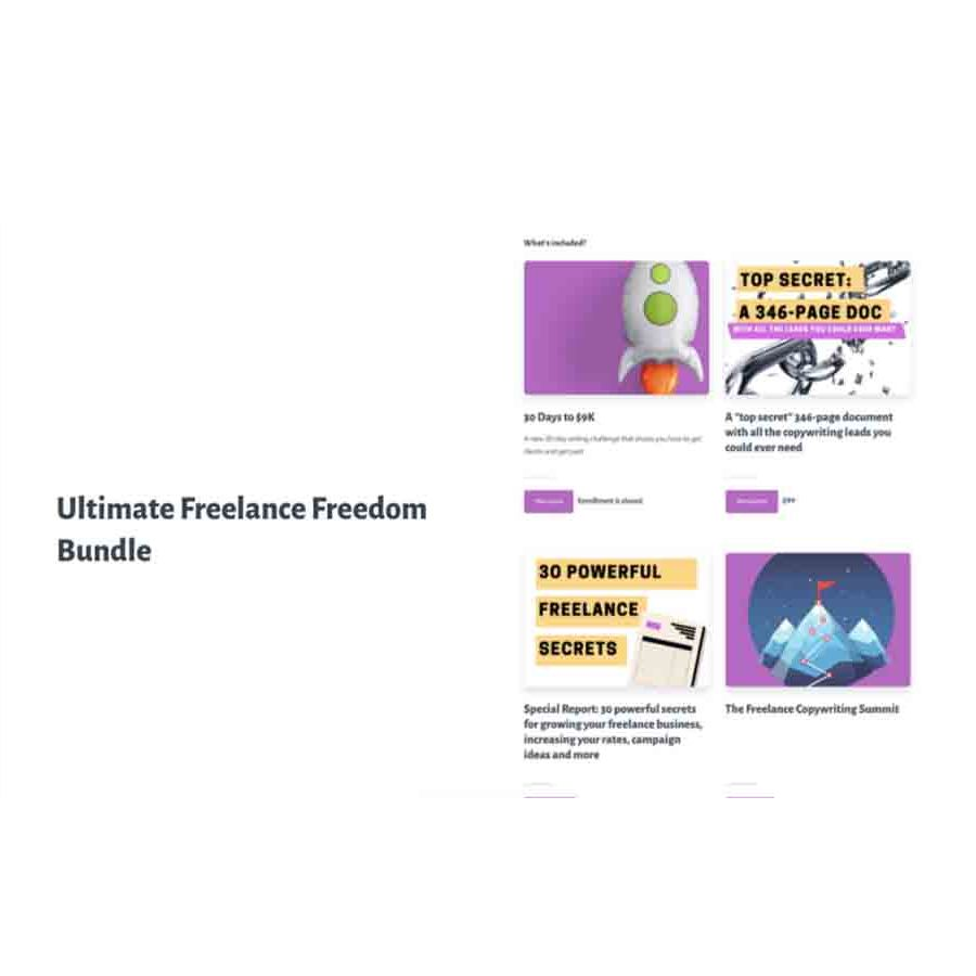 Robert Allen – Ultimate Freelance Freedom Bundle Download