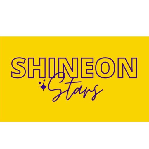 Shineon Stars – From 0 to Sales on Amazon In 30 Days Download