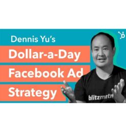 Dennis Yu (BlitzMetrics) - Facebook for a Dollar a Day Download