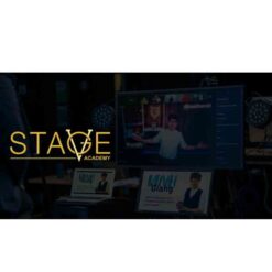 Vinh Giang – Stage Academy Download