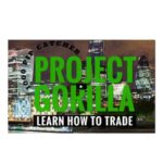 Project Gorilla Download 
