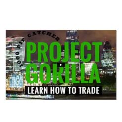 Project Gorilla Download 