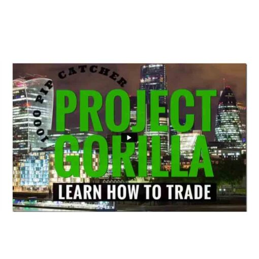 Project Gorilla Download 