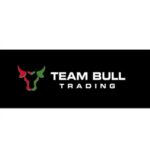 Team Bull Trading Academy Download