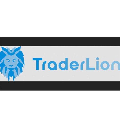 Traderlion – Private Access Pro Webinars 2021-2022 Download