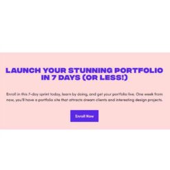 Ran Segall – Flux Academy – Standout Portfolio in 7 Days Download