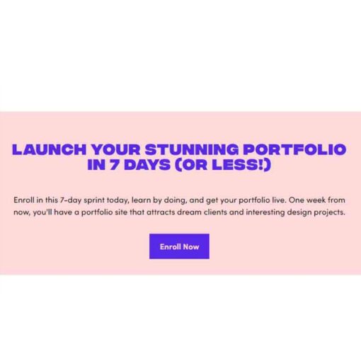 Ran Segall – Flux Academy – Standout Portfolio in 7 Days Download