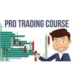 Trader Dale – Volume Profile Download