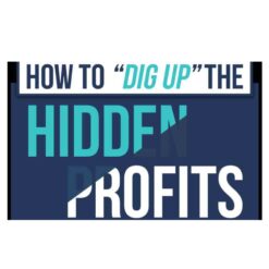 Justin Goff – How To “Dig Up” The Hidden Profits In Any Email List Download