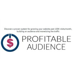 Steve Chou – Profitable Audience Download