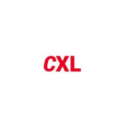 Conversion XL (CXL) – Bundle (49 courses) Download