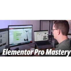 Livingwithpixels – Elementor Pro Mastery Download