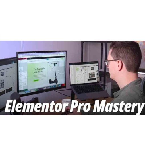 Livingwithpixels – Elementor Pro Mastery Download