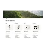 Life OS v2 Download