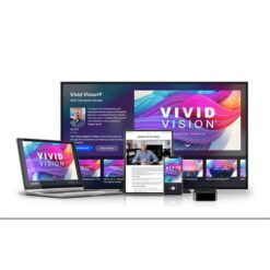 MindValley – Vivid Vision Download
